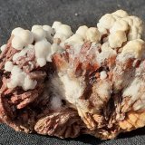 Baryte, Aragonite
4 x 2,5 cm
(Autor: Volkmar Stingl)