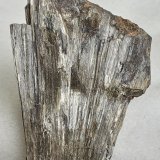 Anthophyllite, Almandine
5,5 x 3,5 cm
(Autor: Volkmar Stingl)