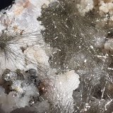 4,5 x 4 cm
(Autor: Volkmar Stingl)