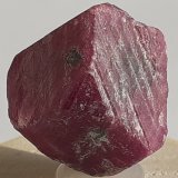 Corundum (variety ruby)
20 x 15 mm
(Autor: Volkmar Stingl)