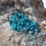 Chrysocolla, Calcite
FoV 2,5 x 2 cm
(Autor: Volkmar Stingl)