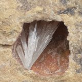 Aragonite
7,5 x 7 cm
(Autor: Volkmar Stingl)