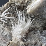 Aragonite
8 x 7 cm
(Autor: Volkmar Stingl)