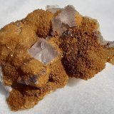 Fluorite, Quartz
3,5 x 2,5 cm
(Autor: Volkmar Stingl)