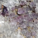 Fluorite
6 x 4,5 cm
(Autor: Volkmar Stingl)