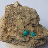 Chrysocolla, Tenorite, Dolomite, Calcite
4,5 x 3 cm
(Autor: Volkmar Stingl)