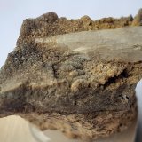 Aragonite
3,5 x 2 cm
(Autor: Volkmar Stingl)