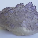 Fluorite
4 x 2,5 cm
(Autor: Volkmar Stingl)