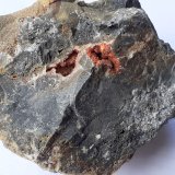 Cetineite on Quartz
7 x 6 cm
(Autor: Volkmar Stingl)