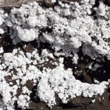 Ferrierite-Mg
5 x 3,5 cm
(Autor: Volkmar Stingl)