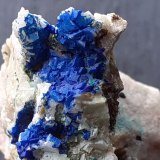 Azurite on Dolomite, Malachite
3 x 2 cm
(Autor: Volkmar Stingl)