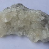 6,5 x 2,5 cm
(Autor: Volkmar Stingl)