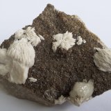 Baryte, Calcite, Sphalerite
6 x 5 cm
(Autor: Volkmar Stingl)