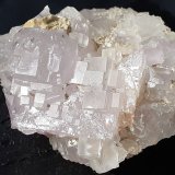 Fluorite
5 x 4 cm
(Autor: Volkmar Stingl)