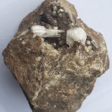 Aragonite, Baryte
6,5 x 5,5 cm
(Autor: Volkmar Stingl)