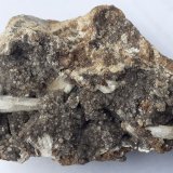 Aragonite, Baryte, Dolomite
8 x 6 cm
(Autor: Volkmar Stingl)