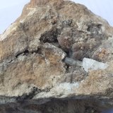 Aragonite
16 x 10 cm
(Autor: Volkmar Stingl)