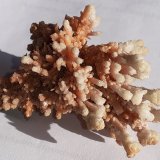 Calcite on Aragonite
9 x 7 cm
(Autor: Volkmar Stingl)
