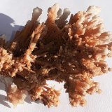 Calcite on Aragonite
9 x 7 cm
(Autor: Volkmar Stingl)