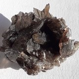 Axinite-(Fe)
2,5 x 2 cm
(Autor: Volkmar Stingl)