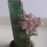 Elbaite, 'lepidolite'
2 cm
(Autor: Volkmar Stingl)