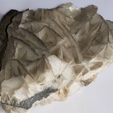Calcite
9 x 7 cm
(Autor: Volkmar Stingl)