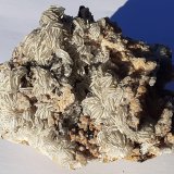 Baryte
11 x 9 cm
(Autor: Volkmar Stingl)