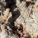 Baryte
11 x 9 cm
(Autor: Volkmar Stingl)