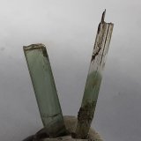 Diopside
2,5 and 3,5 cm
(Autor: Volkmar Stingl)