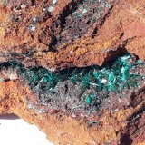 Brochantite
4,5 x 3,5 cm
(Autor: Volkmar Stingl)