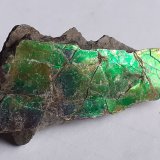 Aragonite (variety ammolite)
4 x 1,7 cm
(Autor: Volkmar Stingl)