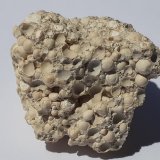 Aragonite (variety Pisolite)
3 x 3 cm
(Autor: Volkmar Stingl)