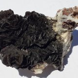 Descloizite
6,5 x 4 cm
(Autor: Volkmar Stingl)