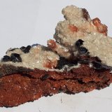 Descloizite
6 x 3,5 cm
(Autor: Volkmar Stingl)