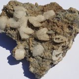 Calcite, Siderite
10 x 9 cm
(Autor: Volkmar Stingl)