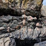 Silurian greywackes
(Autor: Forrestblyth)
