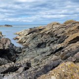 Silurian greywackes
(Autor: Forrestblyth)