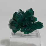 Dioptase
2.5 x 1.6 x 1.2 cm
(Autor: Casimir Sarisky)