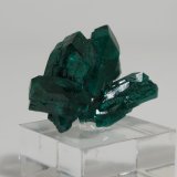 Dioptase
2.5 x 1.6 x 1.2 cm
(Autor: Casimir Sarisky)