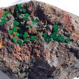 Conichalcite
2,5 x 1,5 cm
(Autor: Volkmar Stingl)