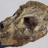 Almandine
5 x 2,5 cm
(Autor: Volkmar Stingl)
