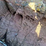 Andesite
(Autor: Forrestblyth)