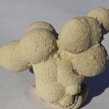 Calcite (variety sand-calcite)
5 x 3,5 cm
(Autor: Volkmar Stingl)
