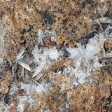 Aragonite
5,5 x 4,5 cm
(Autor: Volkmar Stingl)