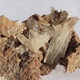 Aragonite
6 x 3 cm
(Autor: Volkmar Stingl)
