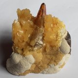 Baryte, Calcite
6,5 x 6,5 cm
(Autor: Volkmar Stingl)