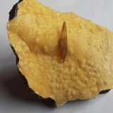 Baryte, Calcite
7 x 6 cm
(Autor: Volkmar Stingl)
