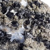 Augite (variety fassaite), Phlogopite
6,5 x 4 cm
(Autor: Volkmar Stingl)