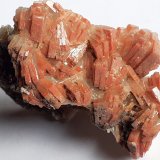 Barite
5 x 5 cm
(Autor: Volkmar Stingl)