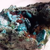 Chalcophyllite
2,5 x 1,5 cm
(Autor: Volkmar Stingl)